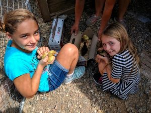 two young girls holding baby chicks in the petting zoo