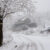 gold king mine january 20, 2007 winter snow storm